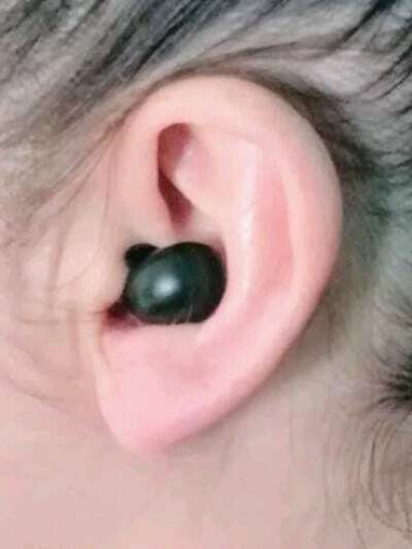 gem-budsi-img-29